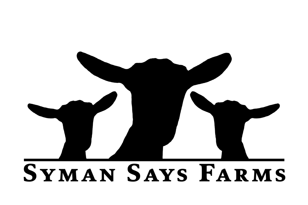 11SIX24 logo
