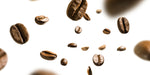 CHAOS COFFEE