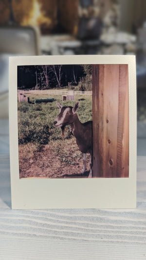 Tog Around the corner Polaroid 8/2023