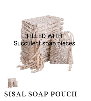 Succulent Soap Pouch