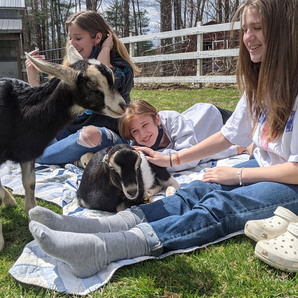 BABY Goat Snuggles | Saturday & Sunday