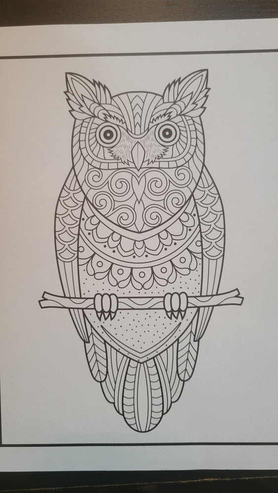 Owls