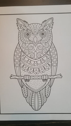 Owls