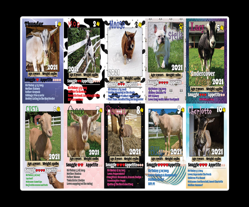 SSF Collectible Trading Cards | Set of 10